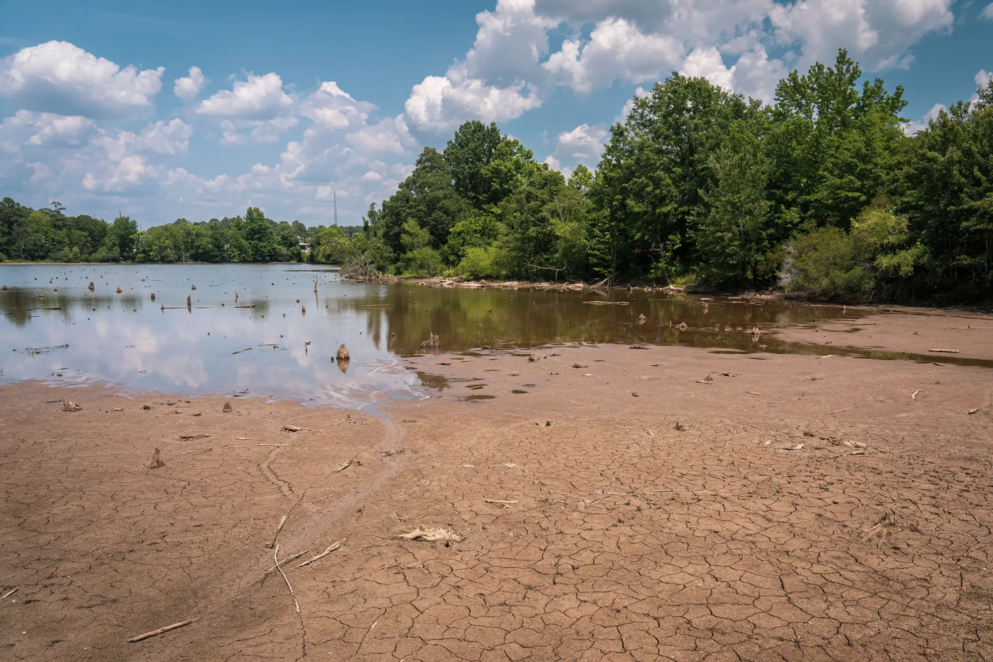 A lake pulled back from its banks, with cracked mud where the water used to stand
